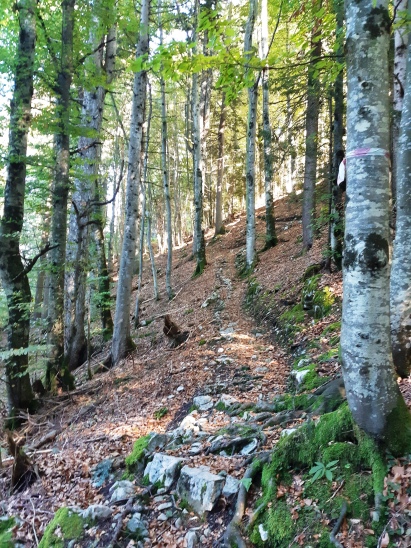 Schöne Trails...